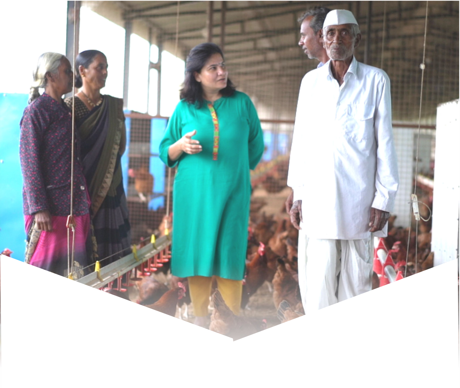 Our Mission People For Animals our-mission-people-for-animals