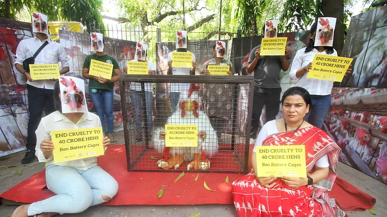 Activists call for end to use of battery cages to house egg-laying hens, point out it amounts to cruelty