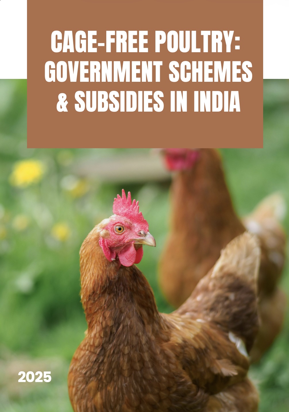 Poultry Scoping Report