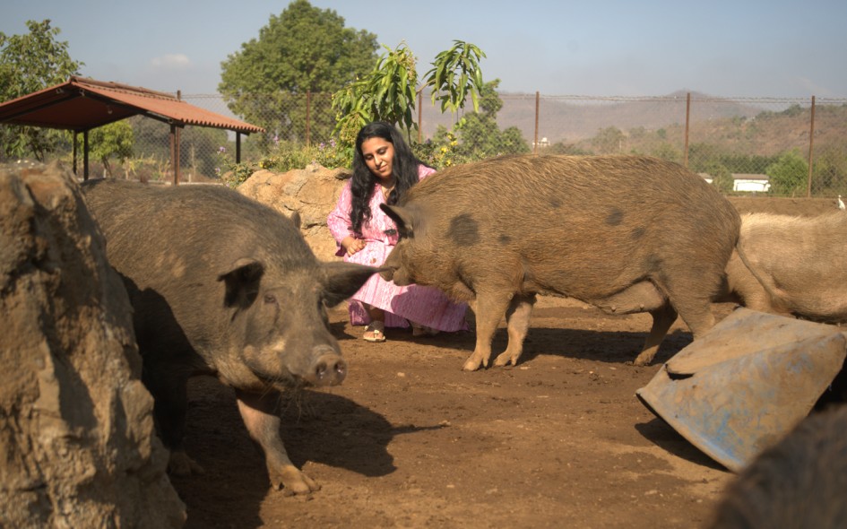 In conversation with Sunayana Sibal of People For Animals Uttarakhand